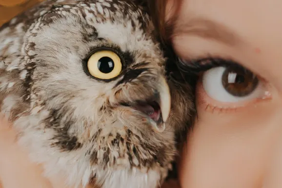 Kasino Lucky 31 Tuki